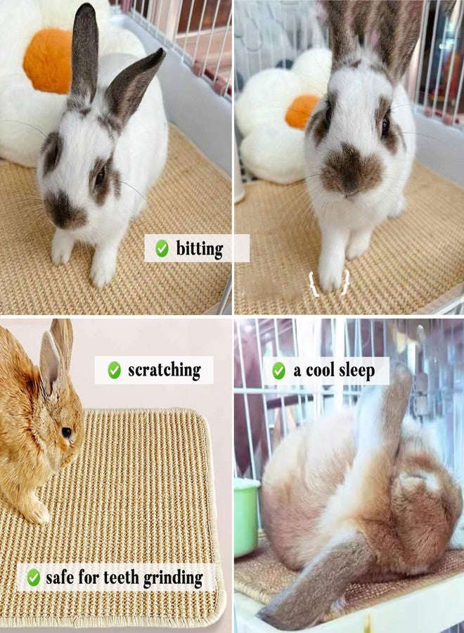 Jevnd 2PCS Large Rabbit Scratching Pad Indoor Edible for Claws and Teeth Grinding Chew Toys, Rabbit Mat for Cages Chew Pad, Rabbit Toys Boredom, Natural Bunny Scratcher pad, Bunny Mat Chew, 16x12 - Image 2